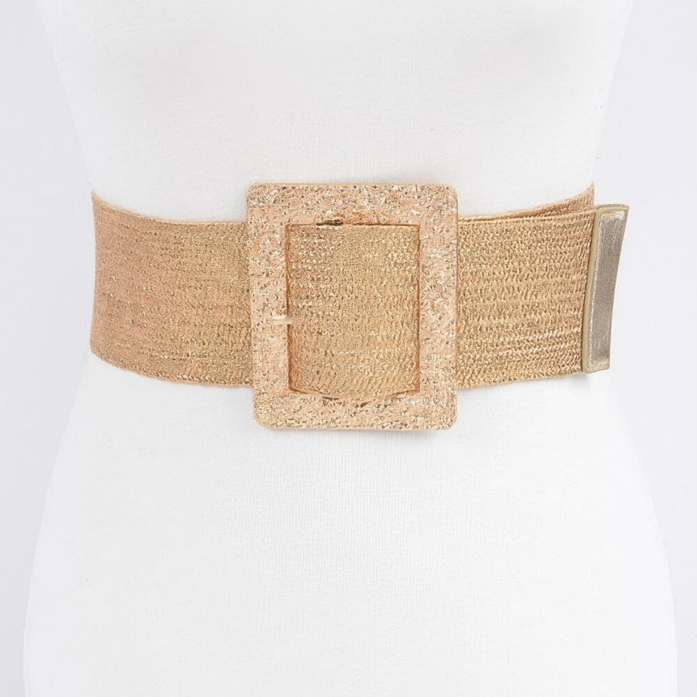 Wide Metal Buckle Plus Size Belt